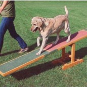 Agility sport redskab vippe balance bom