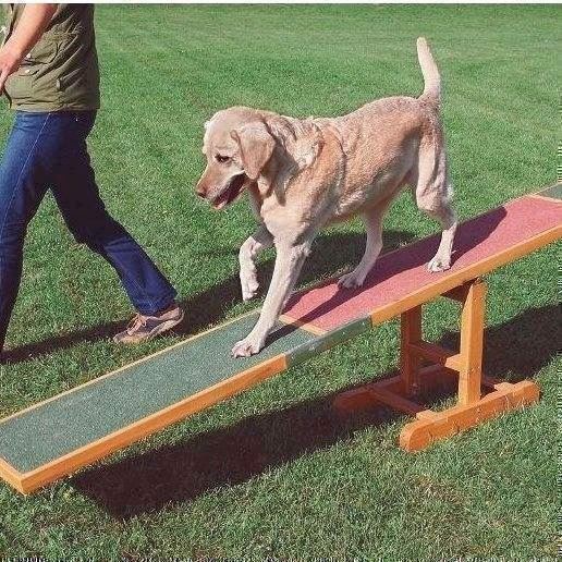 Agility Vippe - Balance Bom Til Hunde