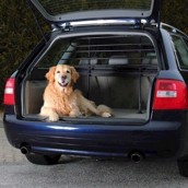 Beskyttelsesgitter til bilen - hundegitter til biler