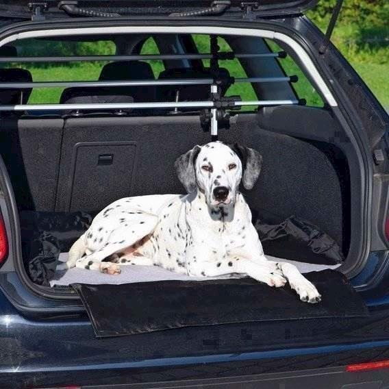 Hundeseng/bagagerum Beskyttelse Til Bilen, 95 X 75 Cm