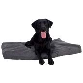 Buster Memory Foam hundeseng, Grå