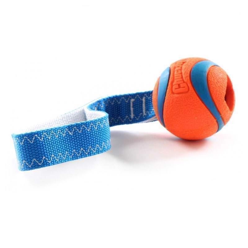 Billede af Chuckit Fetch Games Ultra Tug, Small