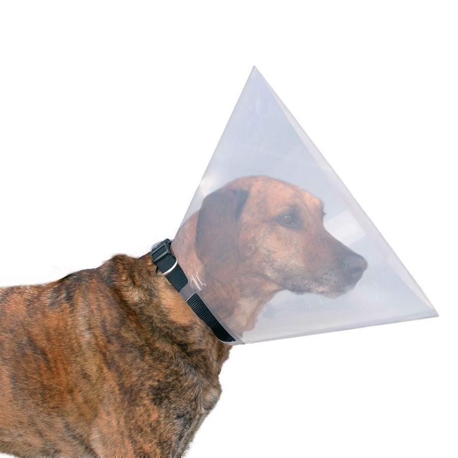 Halskrave til hund og kat - operationsskærm i plastic thumbnail