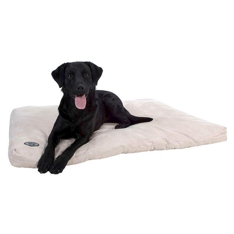 Memory Foam Hundeseng/hundepude, Beige, Xl