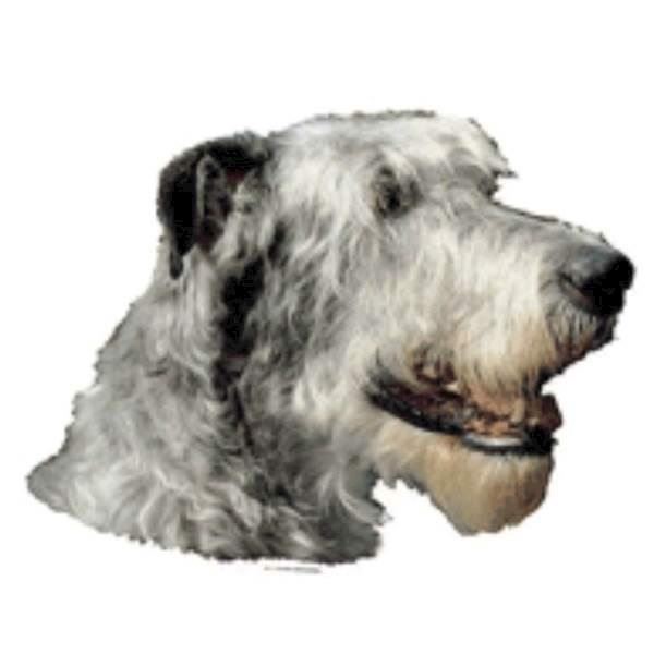 Klistermærke, Irsk Ulvehund thumbnail