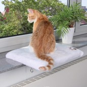 Liggeplads til katten i vindueskarmen