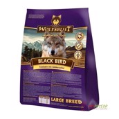 Wolfsblut Black Bird kornfrit hundefoder med kalkun smag