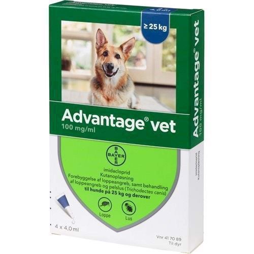 Billede af Advantage Vet loppemiddel til hunde over 25 kg, 4 x 4 x 4.0 ml hos MyPets.dk