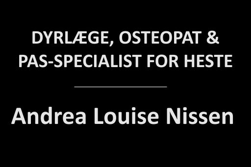 Andrea Louise Nissen, Hestebiomekanik ApS