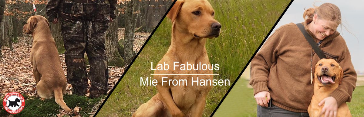 Mie From Hansen fra Lab Fabulous