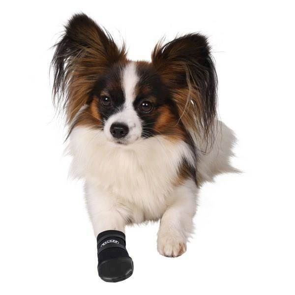 motor Sløset session Walker Care Hundestøvle - Neoprensko med overside og sål i vinyl, den  optimale pote beskyttelse, hvis din hund bl.a. skulle have et sår på sin  pote.