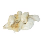 Kaninpoter, 200g - KORT DATO