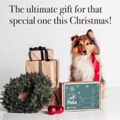 Pala X-mas Gift Bag - julegave til hund eller hundeejer