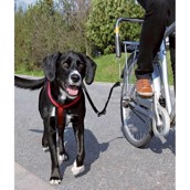 Cykel afstandsholder - til cykelturen med hunden
